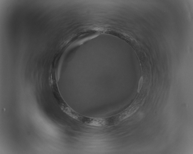 X0000074030720200608211452