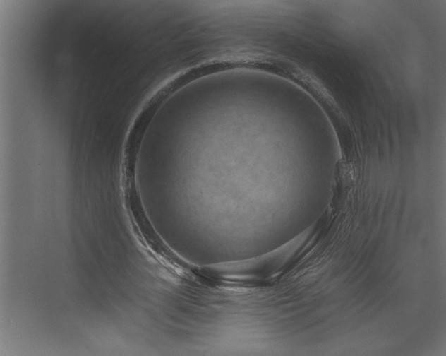 X0000074030724200608211451