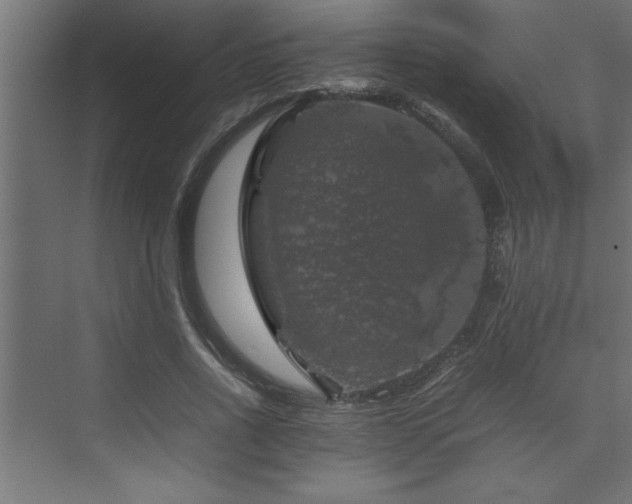 X0000074030734200608211452