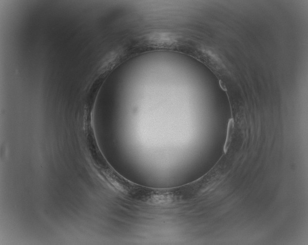 X0000074030744200608211452