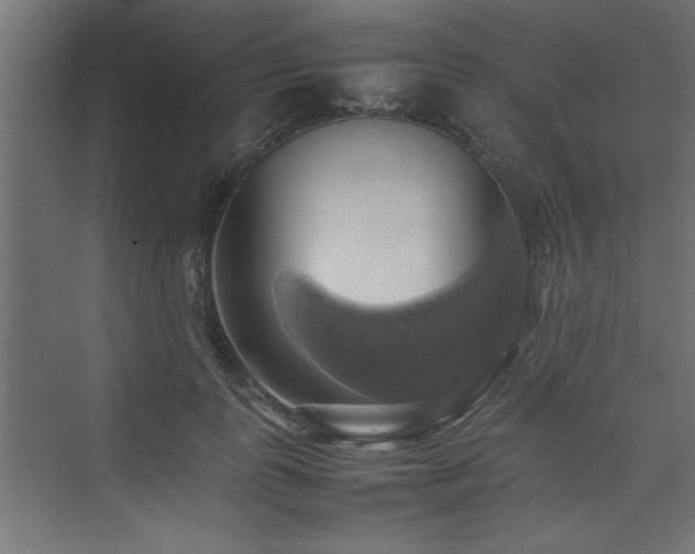 X0000074030747200608211452