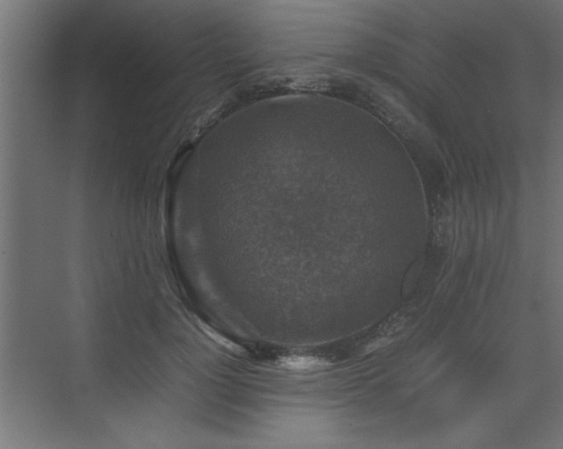 X0000074030748200608211452