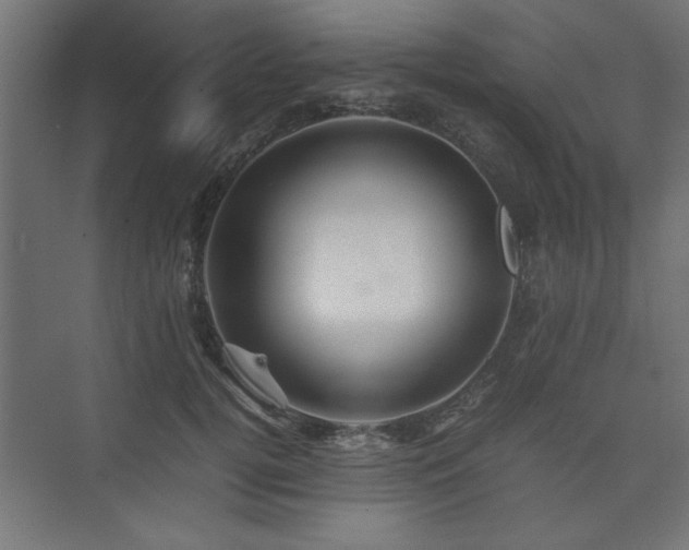 X0000074030752200608211452