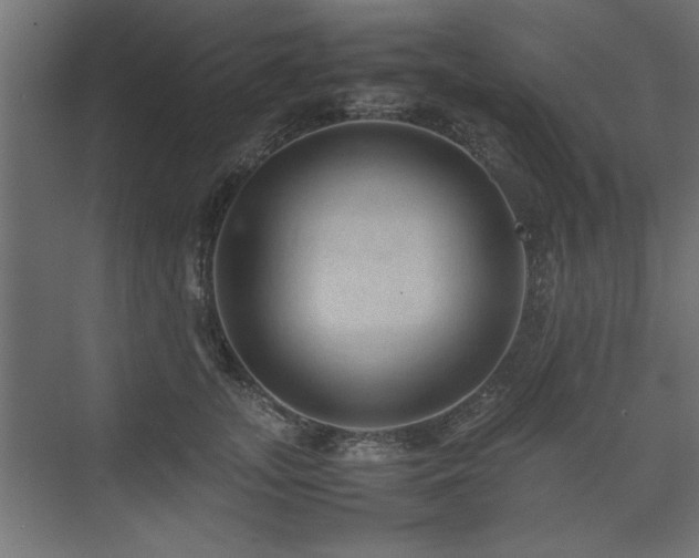 X0000074030755200608211452