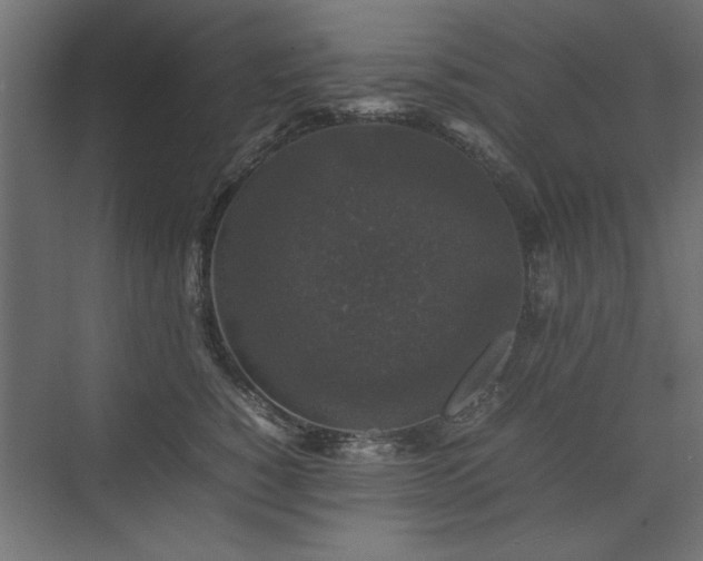 X0000074030760200608211452