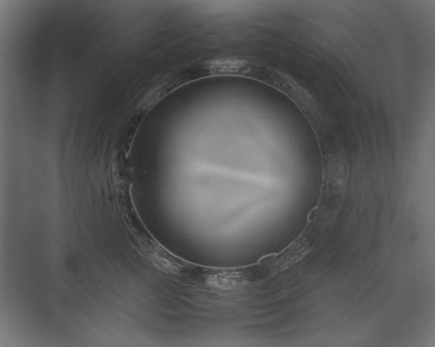 X0000074030761200608211452