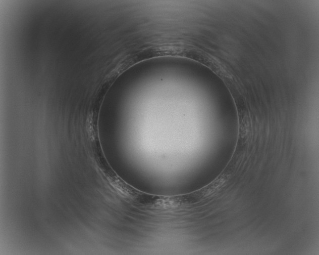 X0000074030764200608211452