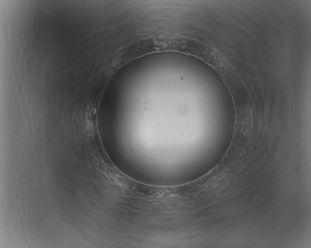 X0000074030770200608211451