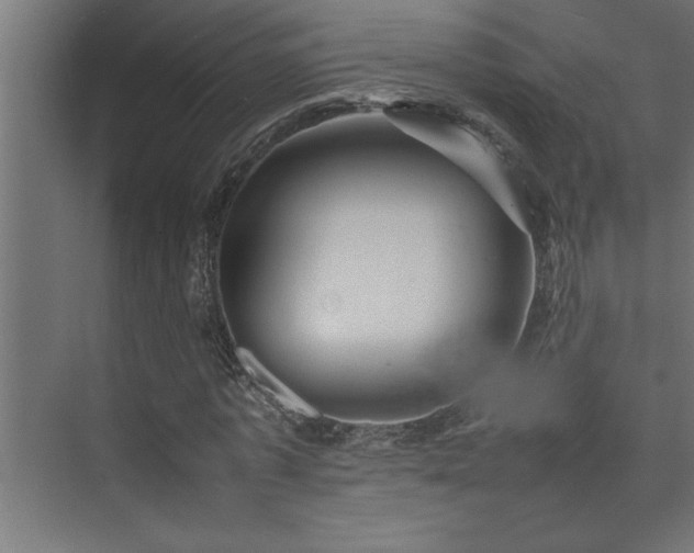 X0000074030773200608211451