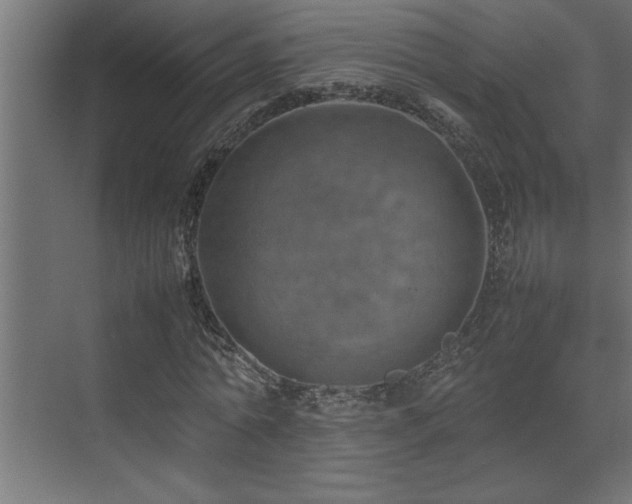 X0000074030774200608211451