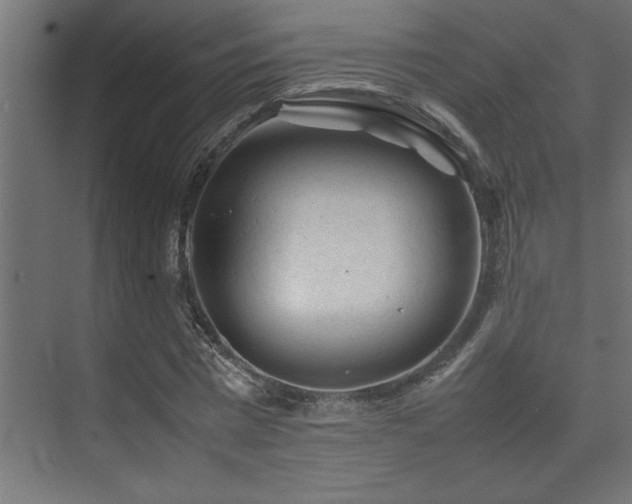 X0000074030777200608211451