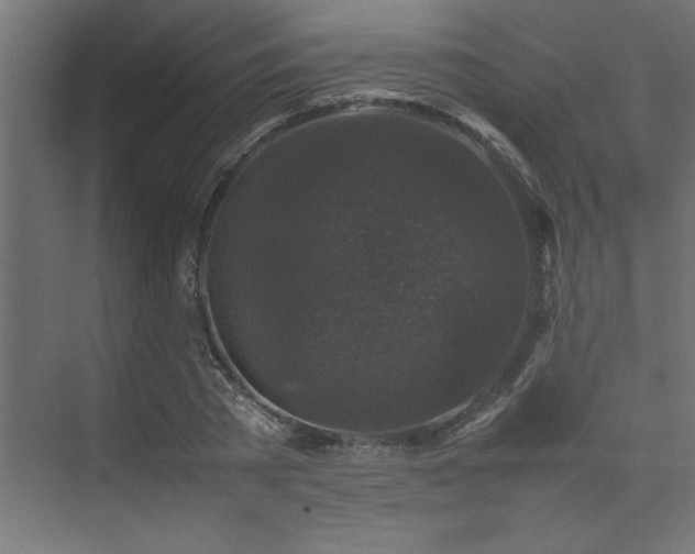 X0000074030785200608211451