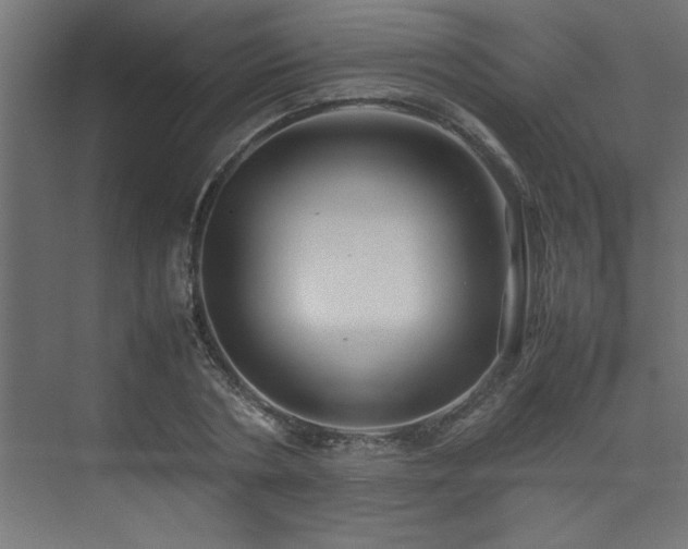 X0000074030786200608211451