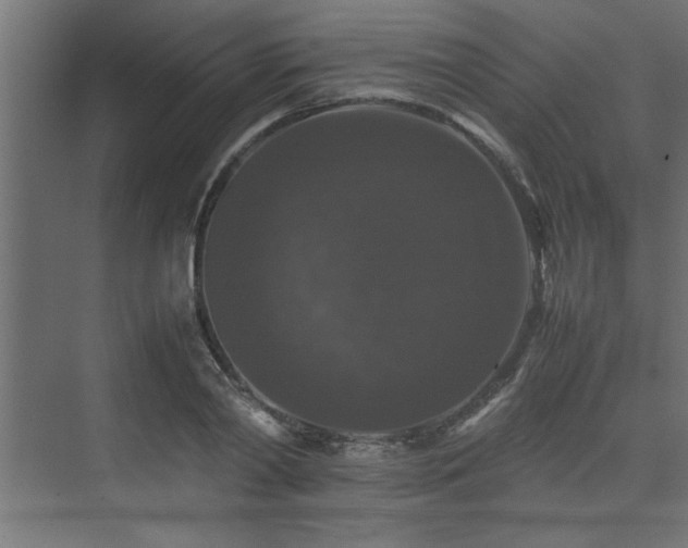 X0000074030790200608211451