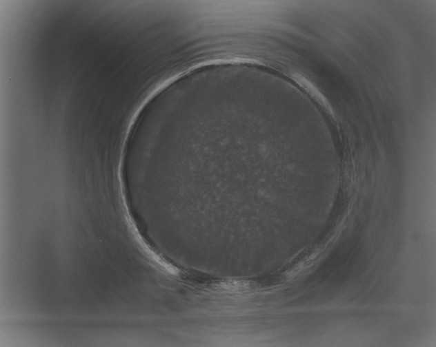 X0000074030797200608211451