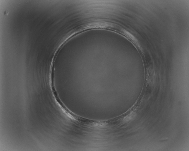 X0000074030802200608211451