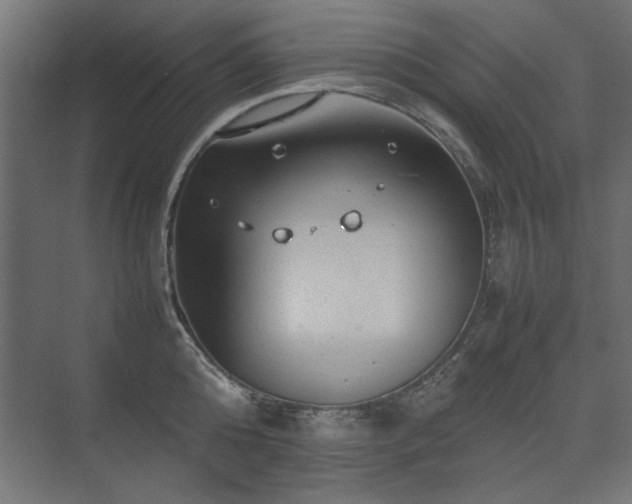 X0000074030808200608211451