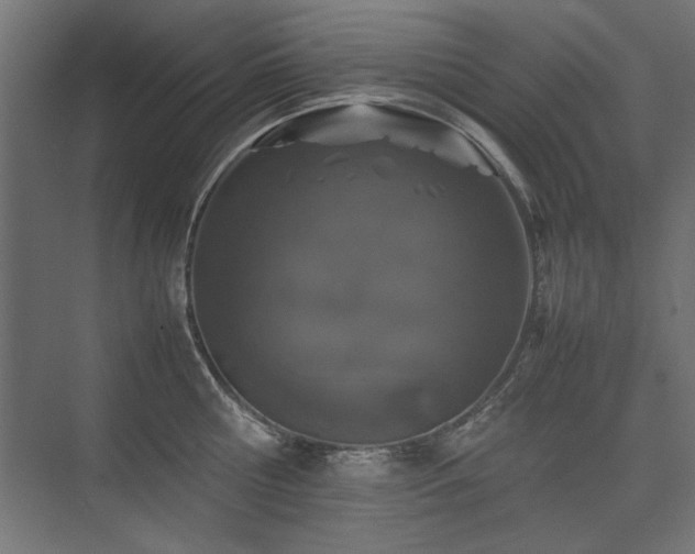 X0000074030810200608211451