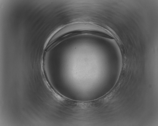 X0000074030812200608211451