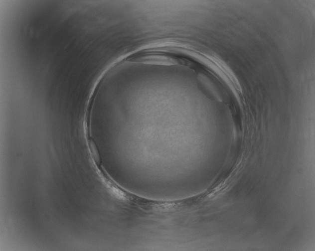 X0000074030813200608211451