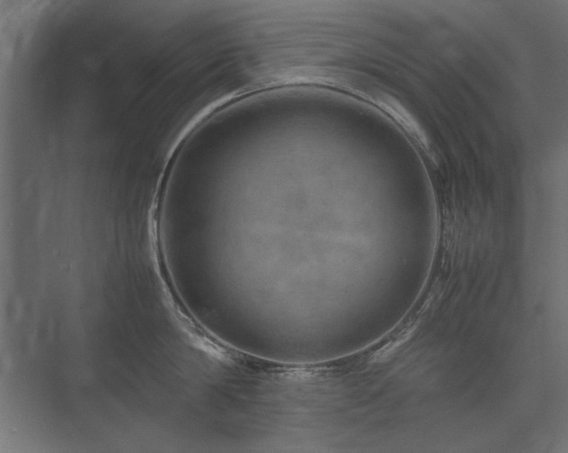 X0000074030814200608211451
