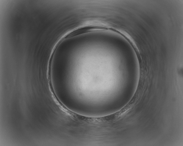X0000074030815200608211451