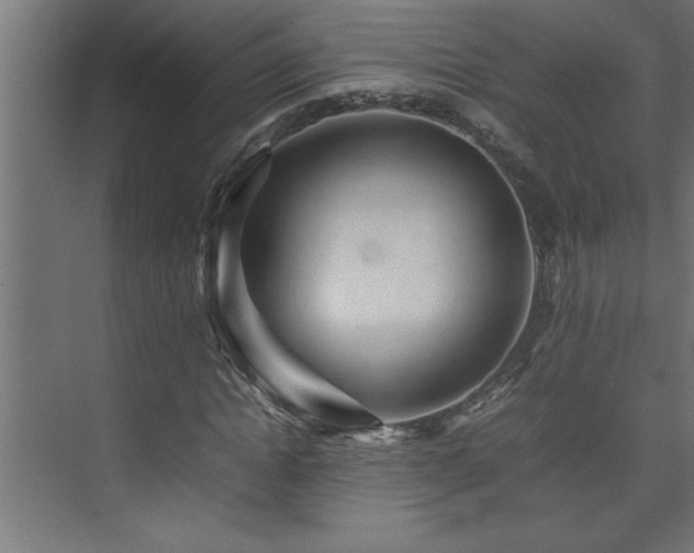 X0000074030822200608211450