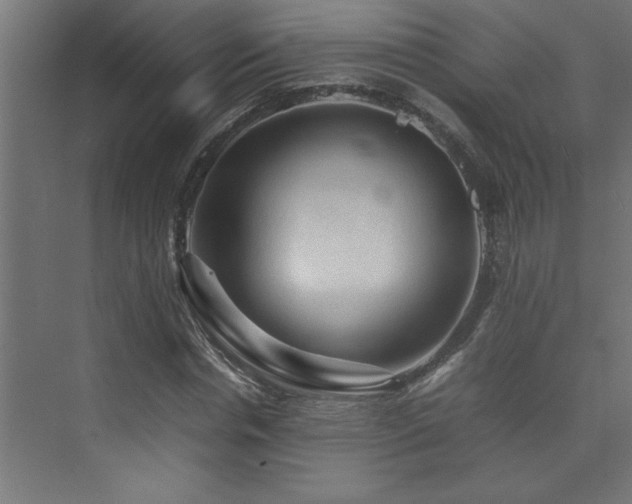 X0000074030826200608211450
