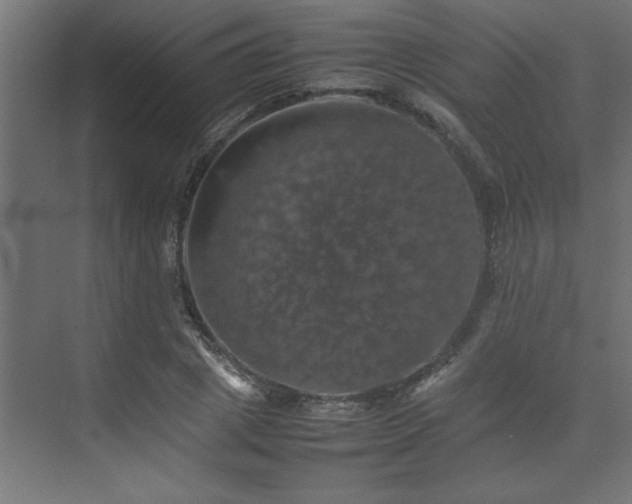 X0000074030833200608211450