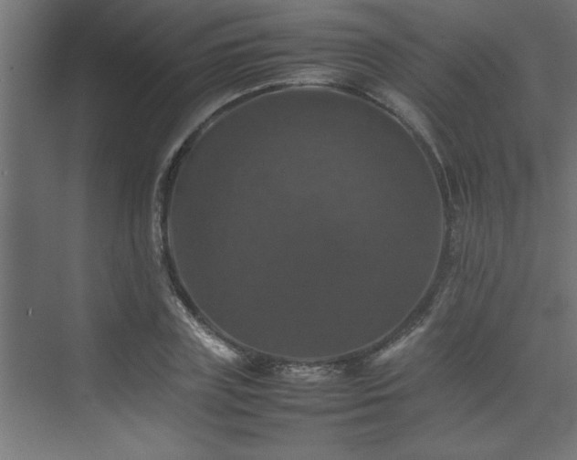 X0000074030835200608211450