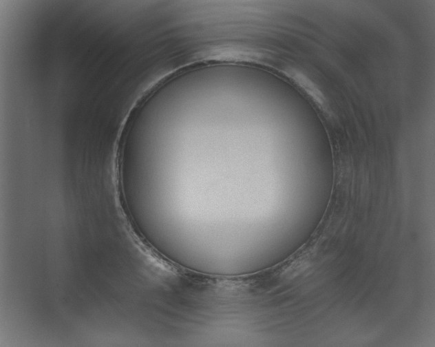 X0000074030848200608211450