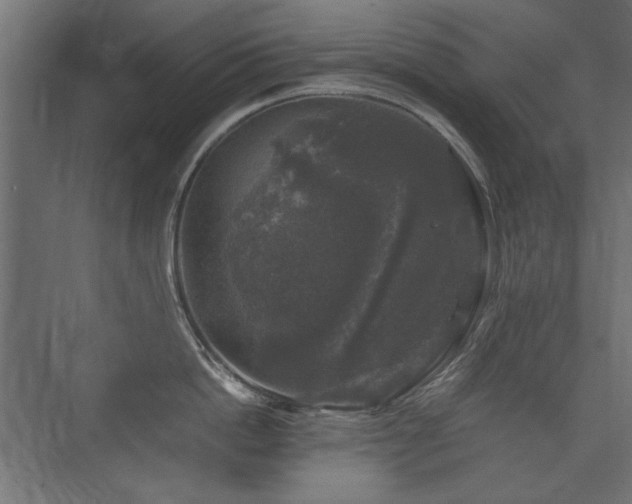 X0000074030862200608211451
