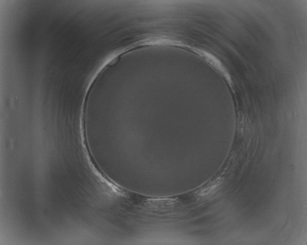 X0000074030863200608211451