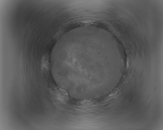 X0000074030867200608211450