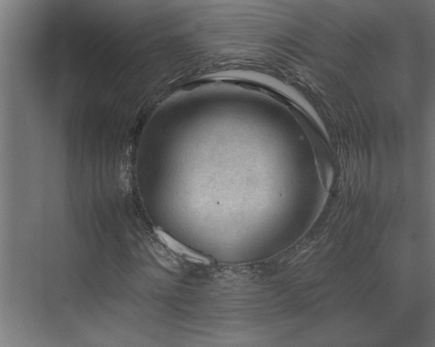 X0000074030868200608211450