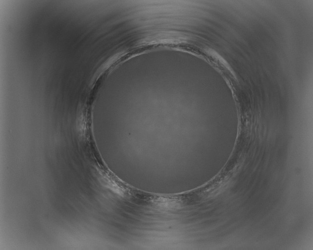 X0000074030874200608211450