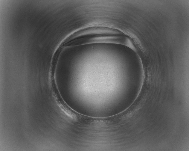 X0000074030880200608211449