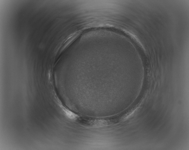 X0000074030881200608211449