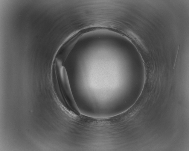 X0000074030884200608211449
