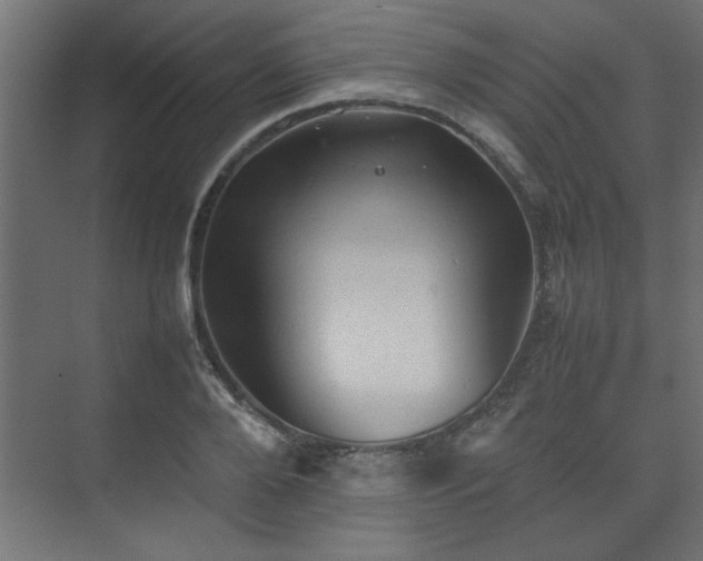 X0000074030888200608211449