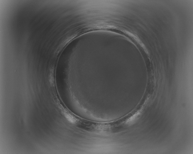 X0000074030889200608211449