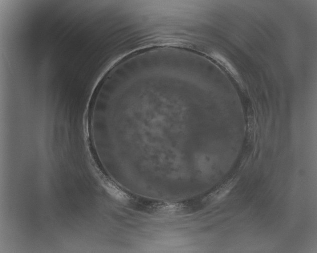 X0000074030891200608211449