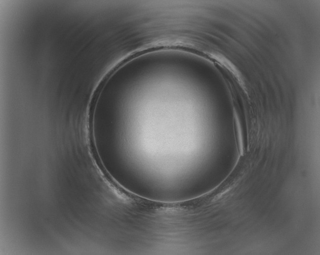 X0000074030894200608211449