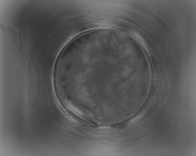 X0000074030899200608211449