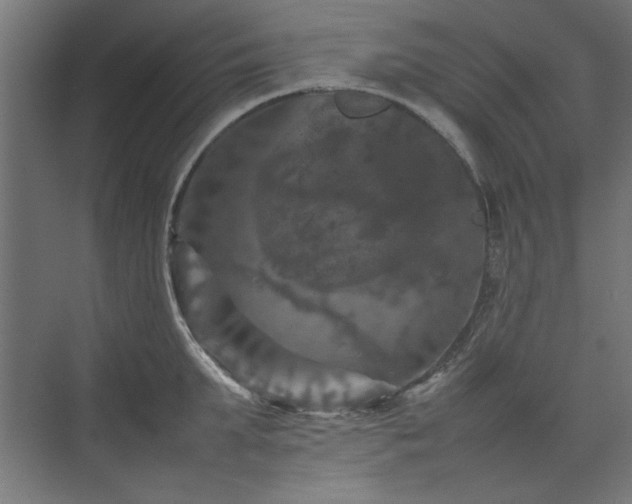 X0000074030903200608211449