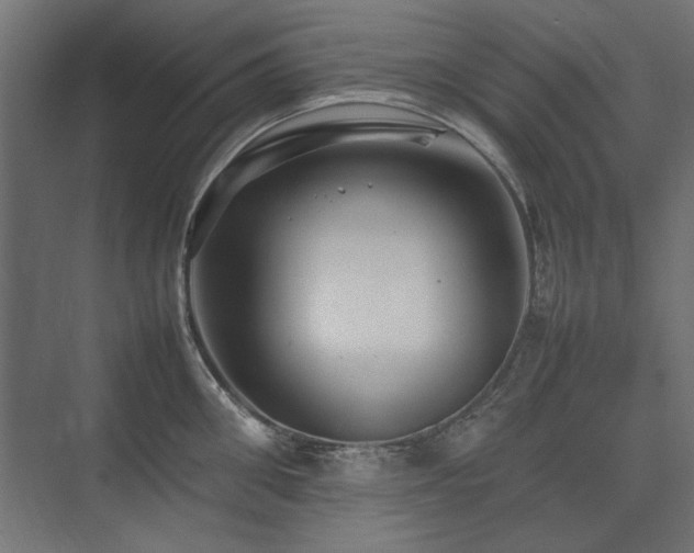 X0000074030906200608211449