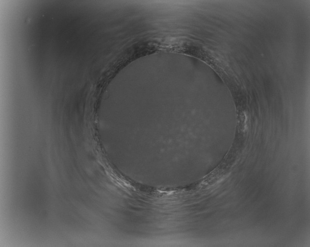 X0000074030913200608211448