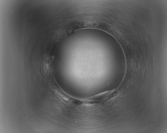 X0000074030914200608211448