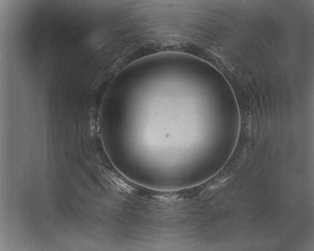 X0000074030916200608211448