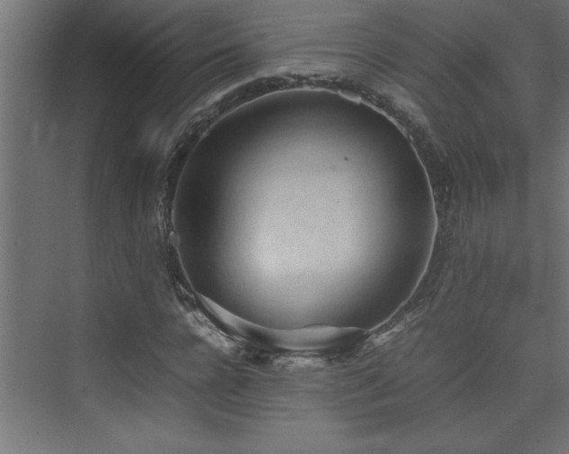 X0000074030920200608211448